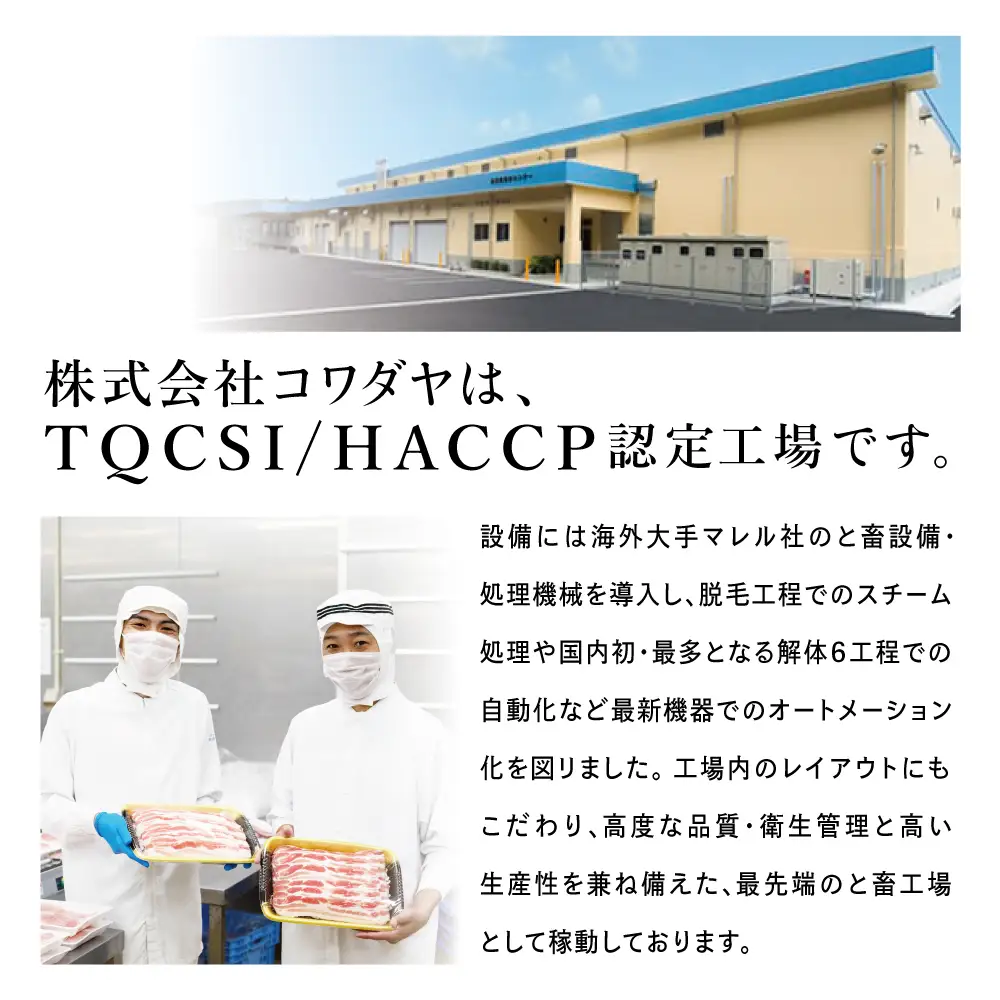 鹿児島産黒豚ロースしゃぶしゃぶ用 計1.5kg（500g×3P）国産 鹿児島県産 豚肉 黒豚 豚しゃぶ しゃぶしゃぶ すき焼き ロース スライス うす切り肉 薄切り お取り寄せ かごしま グルメ 鍋 鹿児島県 南さつま市 株式会社コワダヤ