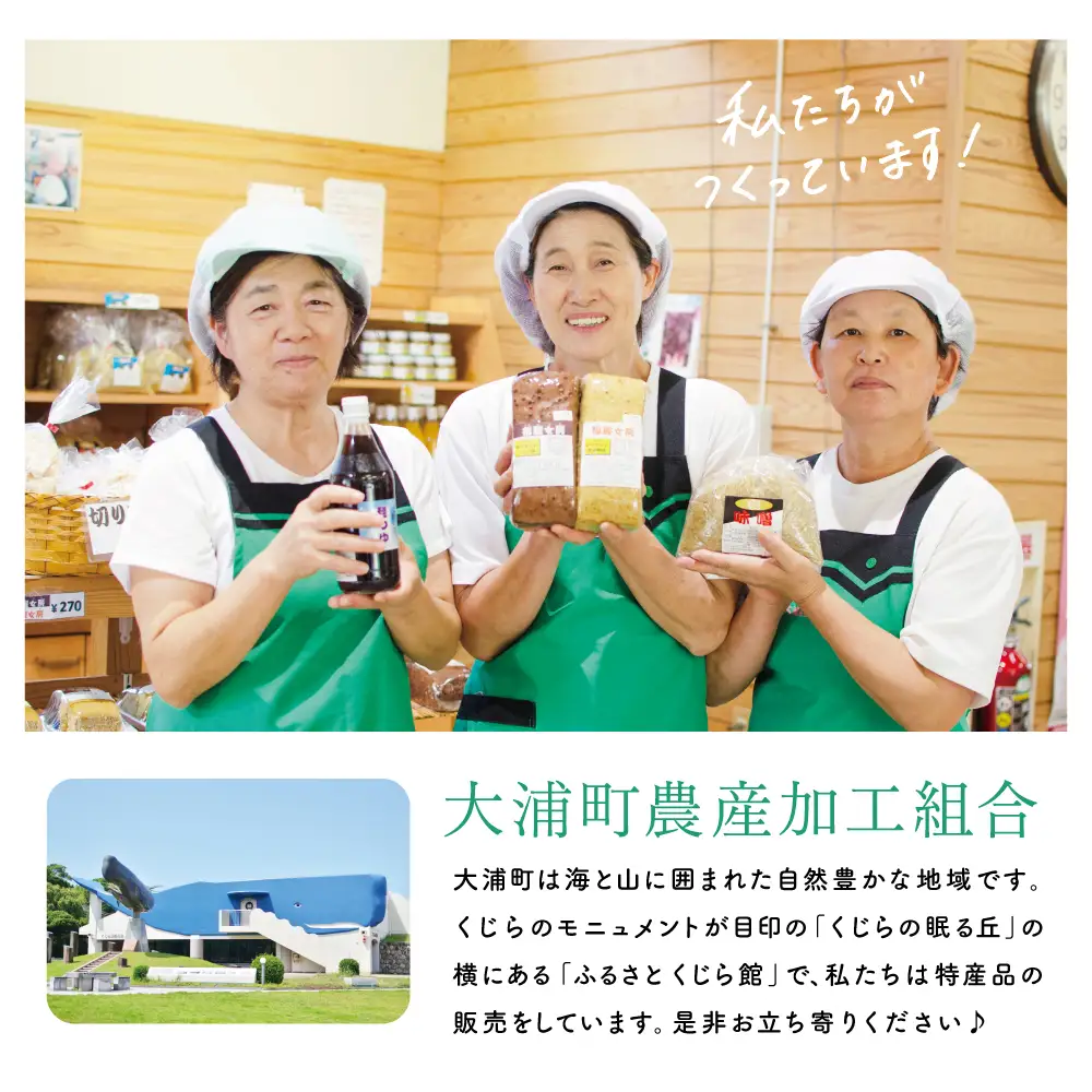 手作りめんつゆ ストレートタイプ 500ml×6本 【大浦町農産加工組合 】 麺 そうめん そば 蕎麦 うどん 天つゆ 煮物 ストレート 調味料 かつお節 鰹 昆布 だし 常温 加工食品 南さつま市