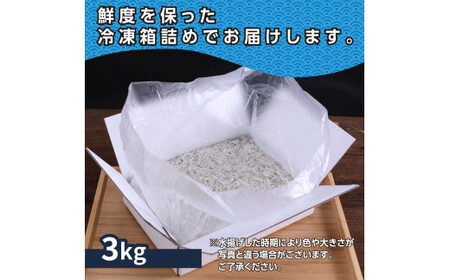 上物釜揚げシラス1kg×3個 合計3kg 