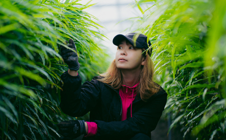 【 山﨑生姜農園 】 生姜農家 が作った 至高の 生姜ジャム 万能 調味料 生姜焼き 生姜 しょうが ショウガ ジンジャー ジャム 濃厚 きび糖 加工品 食品 高知県 高知 四万十市 四万十 しまんと 26-326