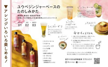 生姜好きさんにオススメ！ 濃厚 しょうがシロップ 2本セット【中辛】国産 生姜シロップ 自家製 生姜 しょうが ショウガ ジンジャー シロップ アレンジ ドリンク 料理 調味料 高知 四万十 四万十市 しまんと 産地直送 25-757