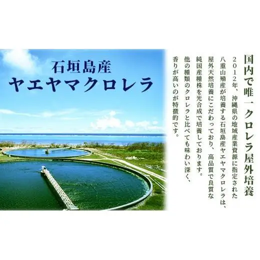 石垣島産ヤエヤマクロレラ粉末（1kg）AR-3