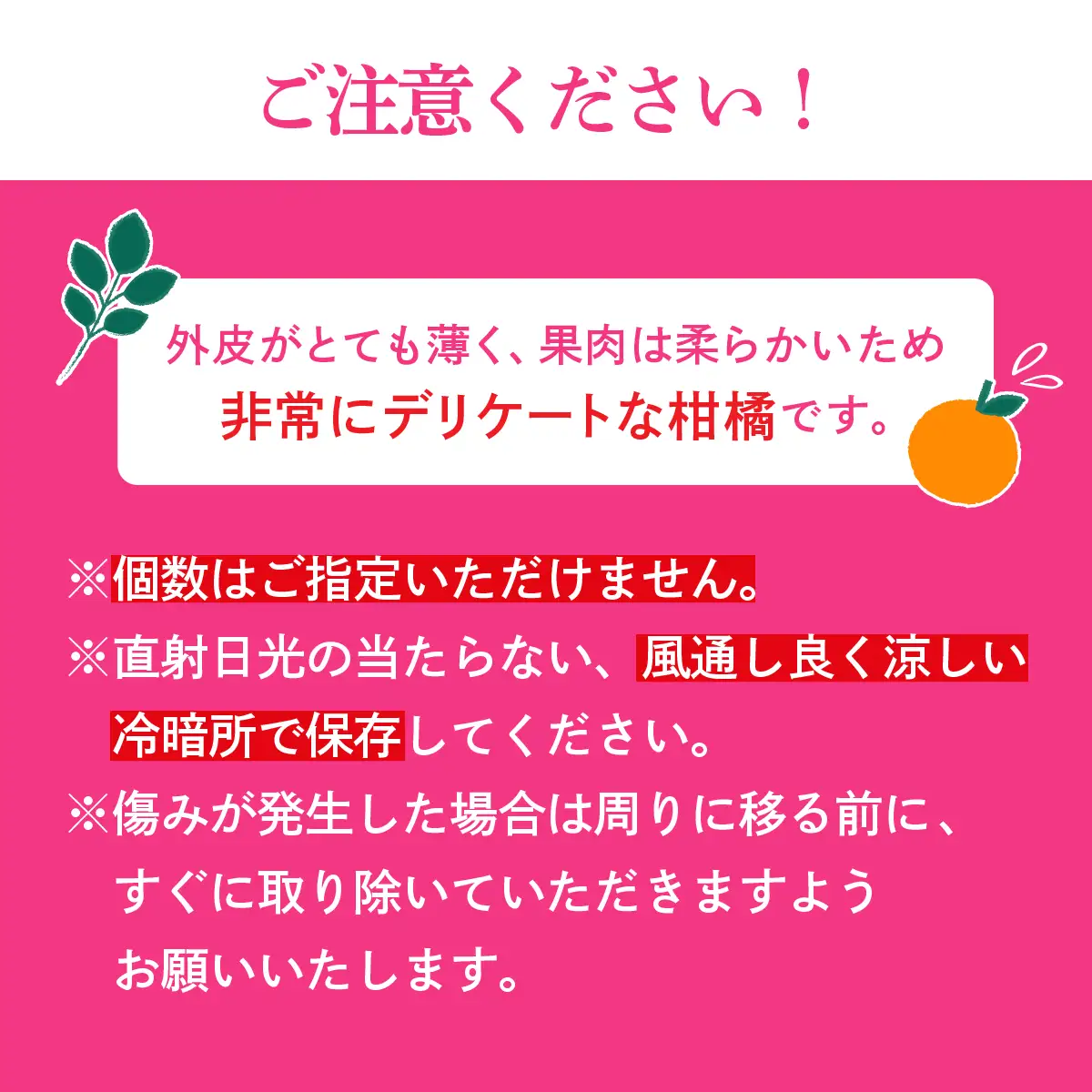 みかん【先行受付】紅まどんな 化粧箱 3L～L 10～15玉