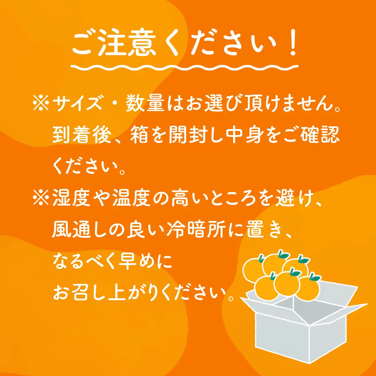 【先行受付】たまみ L～Sサイズ 2.5kg みかん