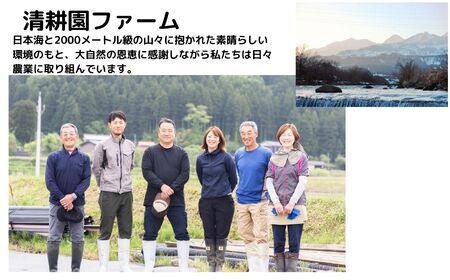さつまいも 『紅はるか』 5kg ねっとり 蜜のように甘い熟成芋 サツマイモ 農家直送 数量限定 新潟県 糸魚川市 株式会社　清耕園ファーム熟成密芋 紅はるか 5kg 農家直送 ねっとり 蜜のように甘ーい しっとり甘い 食べごろの美味しいお芋をお届けします！  