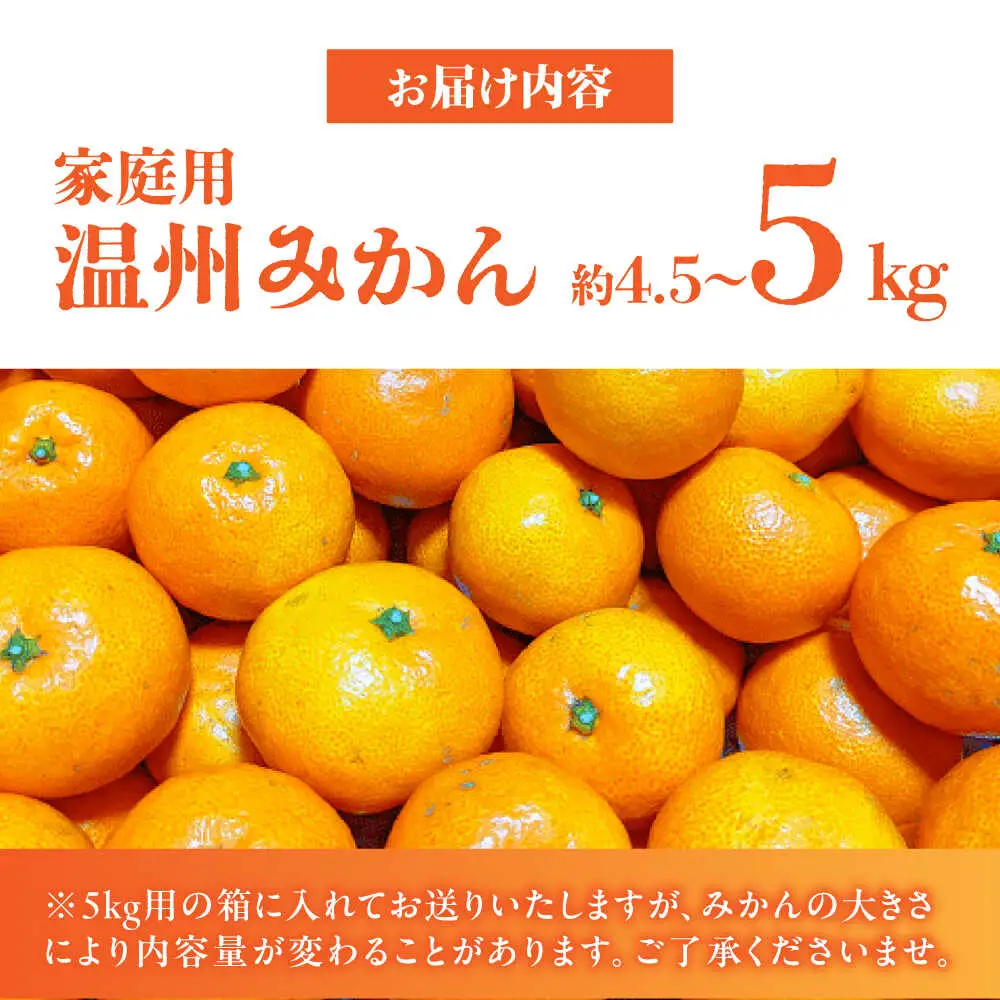 訳あり家庭用 温州みかん約4.5kg~5kg熊本ZCN014