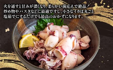 訳あり 小イカ ( アカイカ ヒイカ ) 約2.25kg(450gx5パック) 不揃い 小分け 冷凍 刺身 セリから直送 ケンサキイカ ジンドウイカ【配送不可地域：北海道･沖縄県･離島】 [uotarou004]