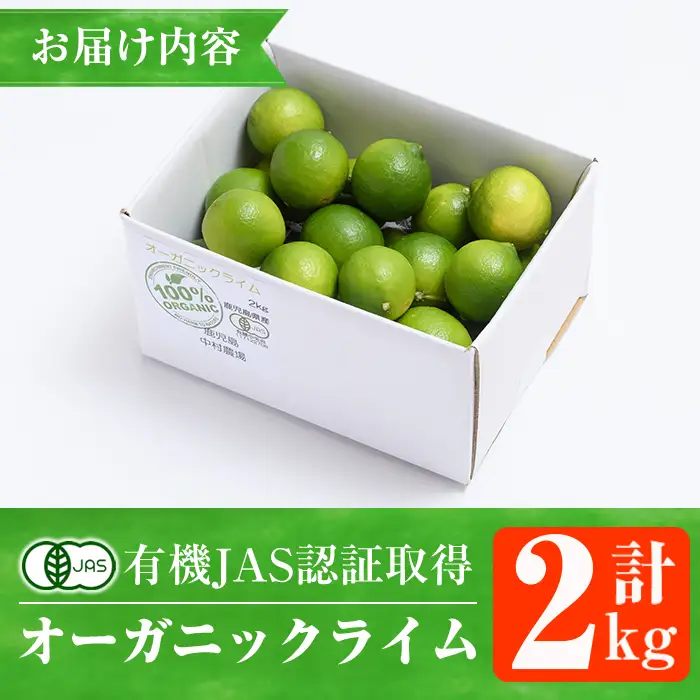 数量限定！有機JAS オーガニックライム(計2kg) 国産 果実 果物 フルーツ 柑橘 デザート 期間限定 有機栽培 健康志向【中村農場】akn084-06