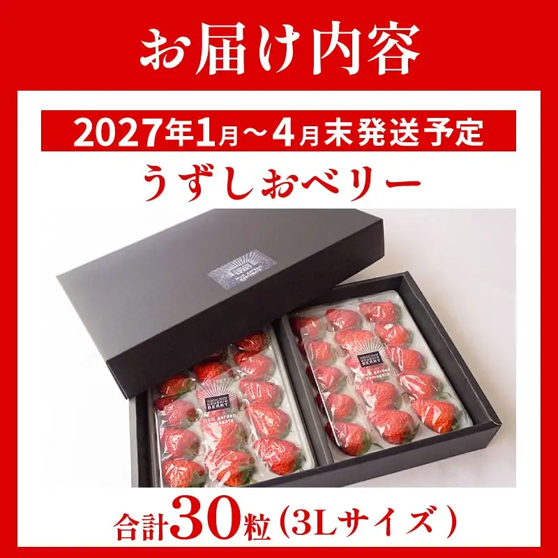 いちご 苺 30粒 3L サイズ うずしおベリー いちご