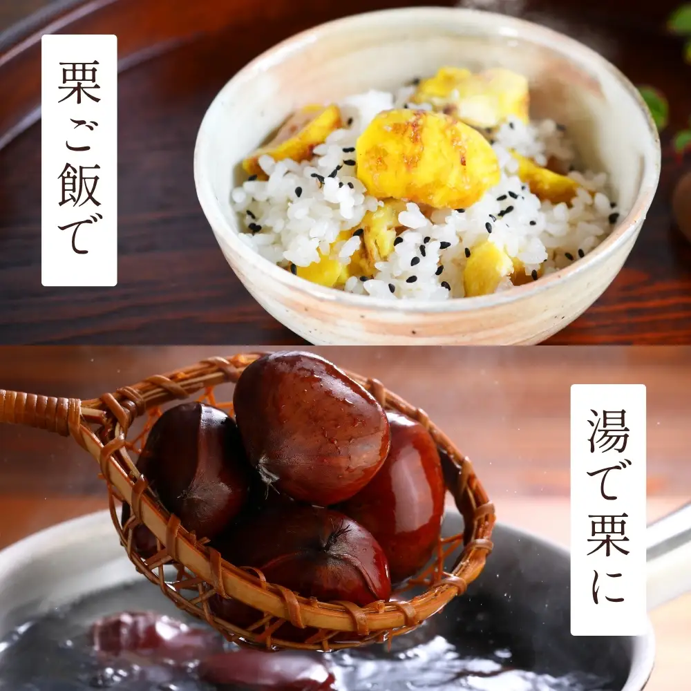 〈予約 期間限定〉熟成丹波栗 3L 1kg 栗