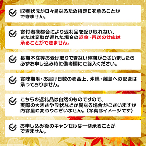 期間限定 鮮 さんま 8本入 (1尾 100g~120g) ＼ 生さんま ／