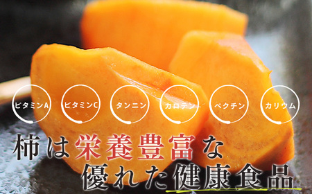 【 種が気にならない 】贈答品 富有柿 大きめ12玉 | 人気 フルーツ 果物 くだもの 柿 かき カキ ふゆう 奈良県 五條市 秋の味覚 贈答用 特産品 たっぷり