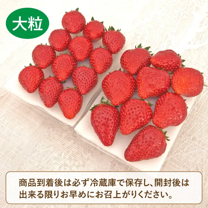 【先行予約】【数量限定100セット】嘉山農園の完熟大粒いちご とちおとめ（270g以上×2パック）イチゴ 苺 フルーツ 果物 いちご 【いちごはうす嘉山農園】 [AKCO001] 