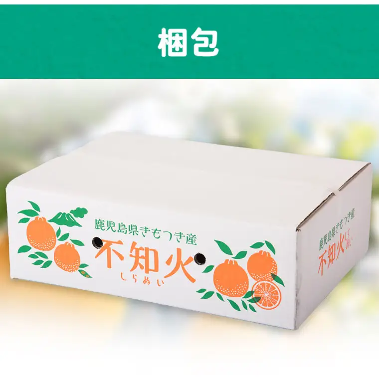 ＜先行予約＞ 不知火 しらぬい 計6kg 3kg×2ケース 国産 フルーツ みかん デコポン【JA鹿児島きもつき高山支所】A18008