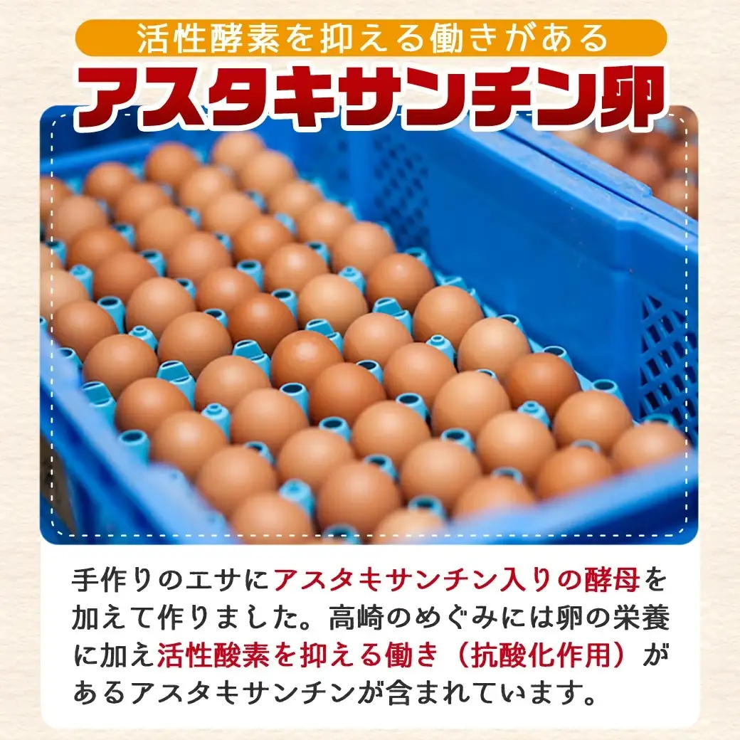 アスタキサンチン入り赤卵「高崎のめぐみ」160個〔AC-68-001-160〕_(都城市) 高崎のめぐみ 赤卵 アスタキサンチン L～M 160個 たまごかけご飯 卵料理 お菓子作り 