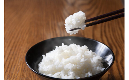 四国・森の国まつののお米「まっさら米」コシヒカリ精米5kg ◆　※離島への配送不可
