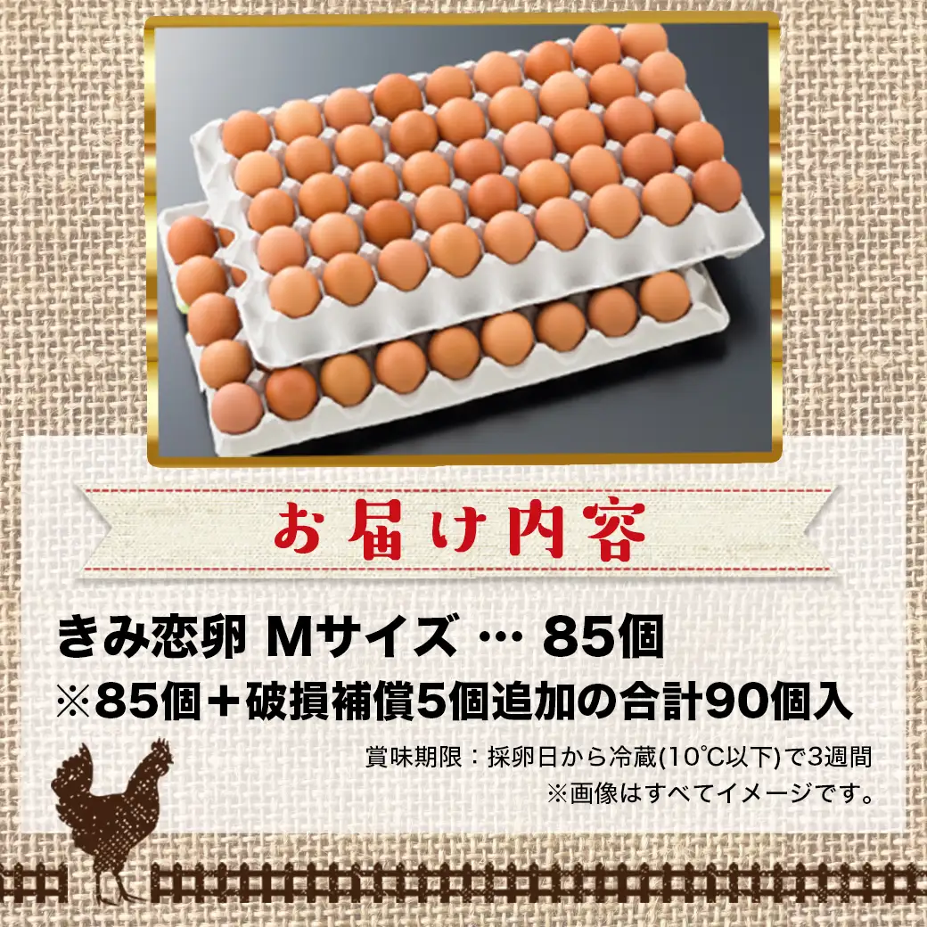 新鮮赤卵「きみ恋卵」85個〔13E-29-011-85〕_(都城市) 赤卵 きみ恋卵 Ｍサイズ 85個 90個 卵かけご飯 ゆで卵 お菓子作り