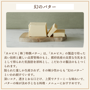 カルピス(株)特撰バター（450g×1本）【有塩】007-007