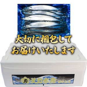 【期間限定】 訳あり 鮮さんま 約2.2kg 冷蔵 サンマ 