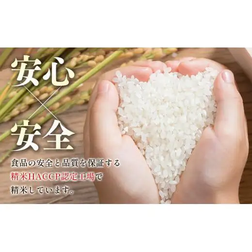 【4ヶ月定期便】宮崎県産 無洗米 コシヒカリ 5kg×4 合計20kg＜18-16a＞ごはん ご飯 白米
