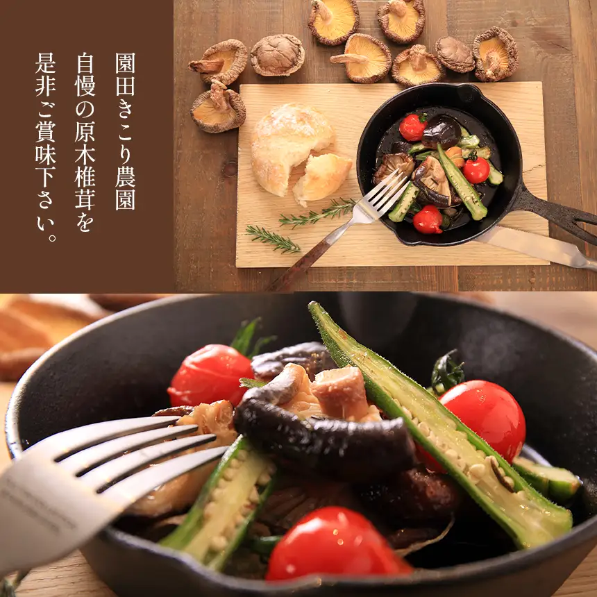 乾燥 肉厚椎茸 スライス&中葉セット