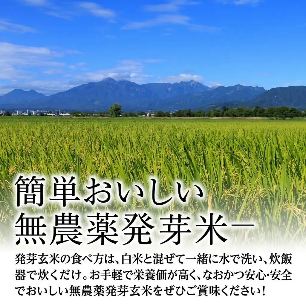JAS 有機栽培 アイガモ農法 コシヒカリ 発芽玄米 2kg コシヒカリ 新潟