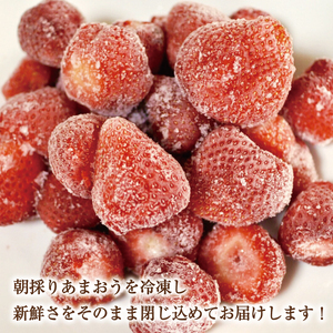 【ふるさと納税】訳あり！博多和牛切り落とし＆あまおうセット 1.3kg [a9450] 株式会社Meat Plus ※配送不可：離島【返礼品】添田町 ふるさと納税