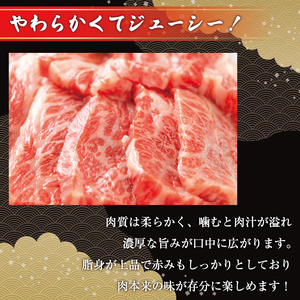 【ふるさと納税】訳あり！【A4～A5】博多和牛焼肉切り落とし(肩ロース・バラ) 1kg(500g×2p) [a9461] 株式会社Meat Plus ※配送不可：離島【返礼品】添田町 ふるさと納税