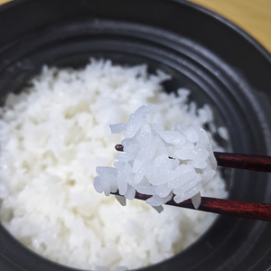 【令和7年産】正直米（特秀）2kg 特別栽培米 【おいしい おこめ 米 お米 精米 こしひかり コシヒカリ コンテスト 受賞 五つ星マイスター 特別米 2kg】(BC201)