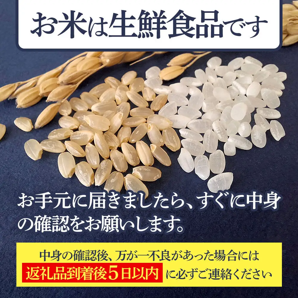 【白米】＜令和8年産 新米予約＞ 秋田県産 あきたこまち 10kg (5kg×2袋) 10キロ お米 匠