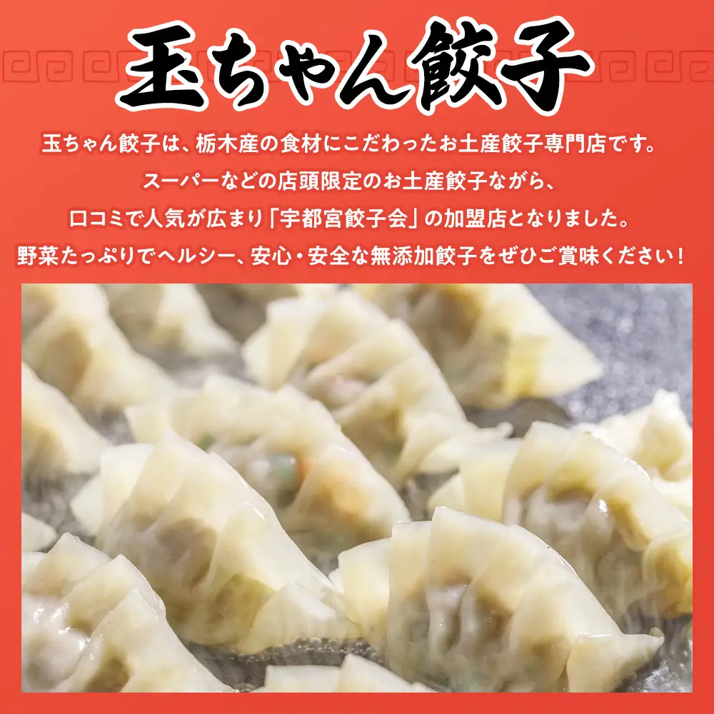 90-1【定期便12回】玉ちゃん餃子8人前（24個×2袋) | 餃子 ぎょうざ ギョウザ ギョーザ おつまみ おかず 惣菜 中華 点心 冷凍 国産 ※着日指定不可