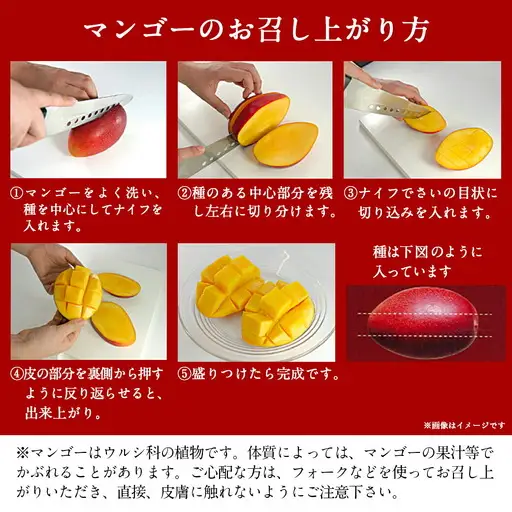 【先行受付!】宮崎県産完熟マンゴー 太陽のタマゴ【4L×2玉】化粧箱入り≪2027年5月中旬以降順次お届け≫〔41-0101〕_(都城市)