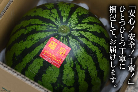 CH055【令和9年度出荷分】訳あり 大玉スイカ～羅皇（ラオウ）～（8kg以上）