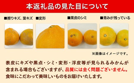 みかん 訳あり ゆら早生みかん 約5kg