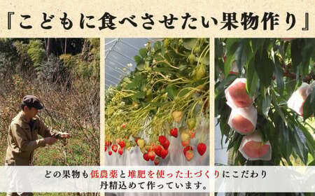 自家栽培 フルーツジャム 詰め合わせ セット （ 3種類 x 2個 ） 6個 入 | フルーツ 果物 くだもの いちご 苺 ブルーベリー 桃 もも ストロベリー ピーチ ジャム レモン 果汁 無添加 奈良県 五條市 西岡農園 安心 安全 果肉 濃厚 贅沢 新鮮 低農薬栽培 お取り寄せ 送料無料 農家直送 産地直送 フレッシュ 食べ比べ