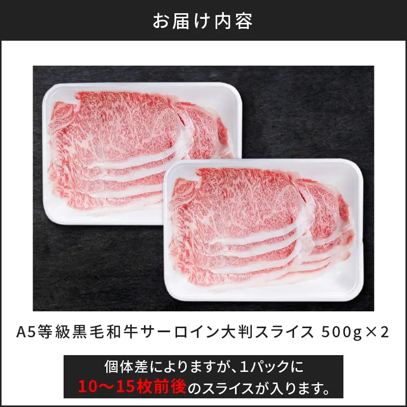【 訳あり 】 A5 等級 黒毛和牛 サーロイン 大判 スライス 500g × 2P K002-032 肉 牛肉 冷凍