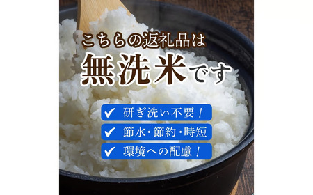 白米 【定期便 全3回】【令和7年産米】無洗米ヒノヒカリ 10kg×3回