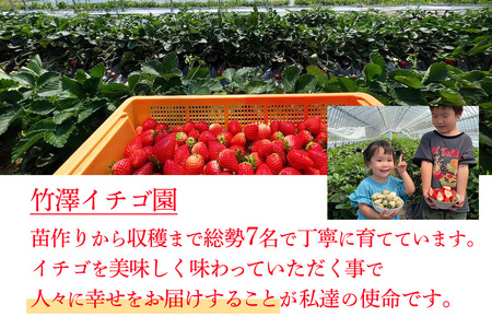 [先行予約] 日光産 とちあいか＆スカイベリー 約300g×各1パック 計600g 【2027年1月中旬から順次発送】 [0971]
