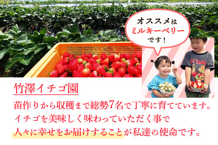 [先行予約] 日光産 とちあいか＆ミルキーベリー 約300g×2パック 計約600g 【2027年1月中旬から順次発送】 [0972]