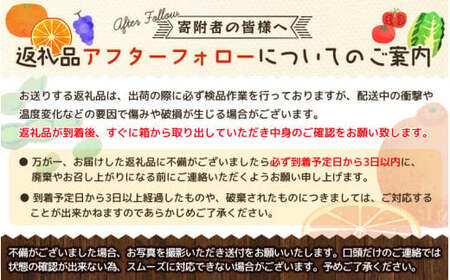 ＜定期便全３回＞ 米 岡山県産精米 令和7年産きぬむすめ無洗米10kg(5kg×2袋)定期便 【tkns-tkb022-cho】