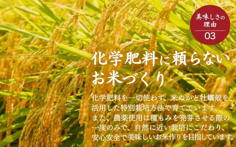 ＜全6回定期便＞ 米 岡山県産精米 令和7年産特別栽培米「一心良米」白米10kg (5kg×2袋）×6回定期便 【tkns-tkb034-cho】