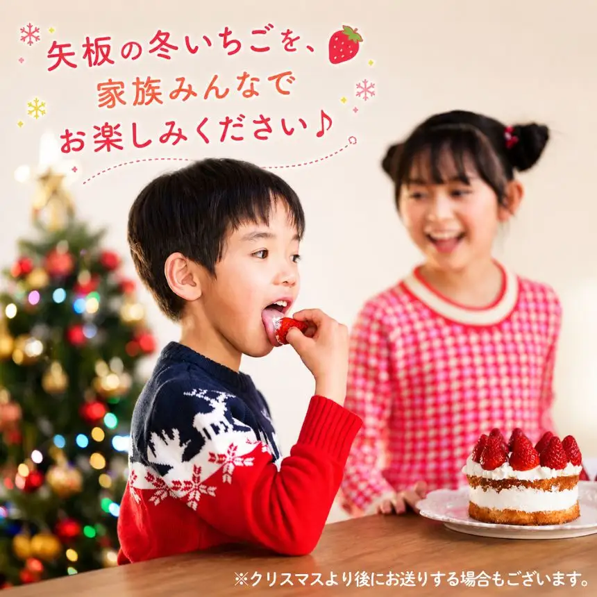 【先行予約】[数量限定] 貴重な12月発送！完熟朝摘みスカイベリー デラックス 800g