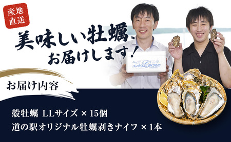 殻牡蠣 LLサイズ 15個 セット 産地直送 生食用 厚岸産 牡蠣