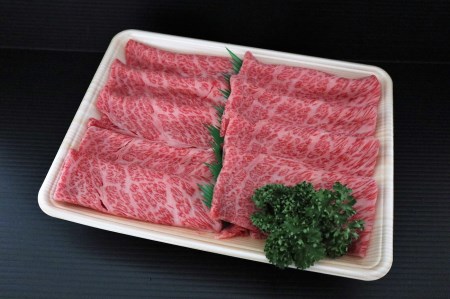 伊万里牛 肩ローススライス すき焼き 焼肉用 500g 001-J245