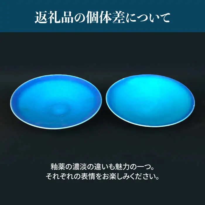 【美濃焼】 パスタ皿 ・ 小皿 各2枚 計4点 (マット) 【東山窯】食器 深皿 [TDU023]