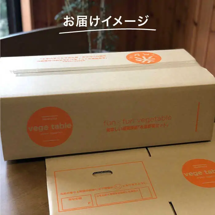 【全3回定期便】旬を味わう 糸島 野菜 セット 10?14種 （14パック） / イタリア野菜 オーガニック 野菜ソムリエ 松永 糸島市 / vegeLabo [AJB004]