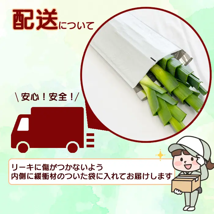 岩手県産 リーキ 2kg 【みのり風土】 ／ 西洋ねぎ ポロネギ ポワロ ポロ ポアロ リーク