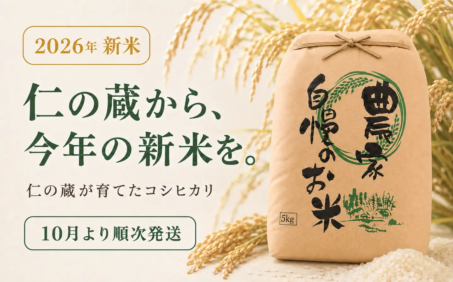 限定100件 【新米・先行予約】こしひかり 5kg 信濃町産 令和8年 精米 1等米比率9割超の信州米 2026年10月上旬発送予定 黒姫山麓 長野県信濃町