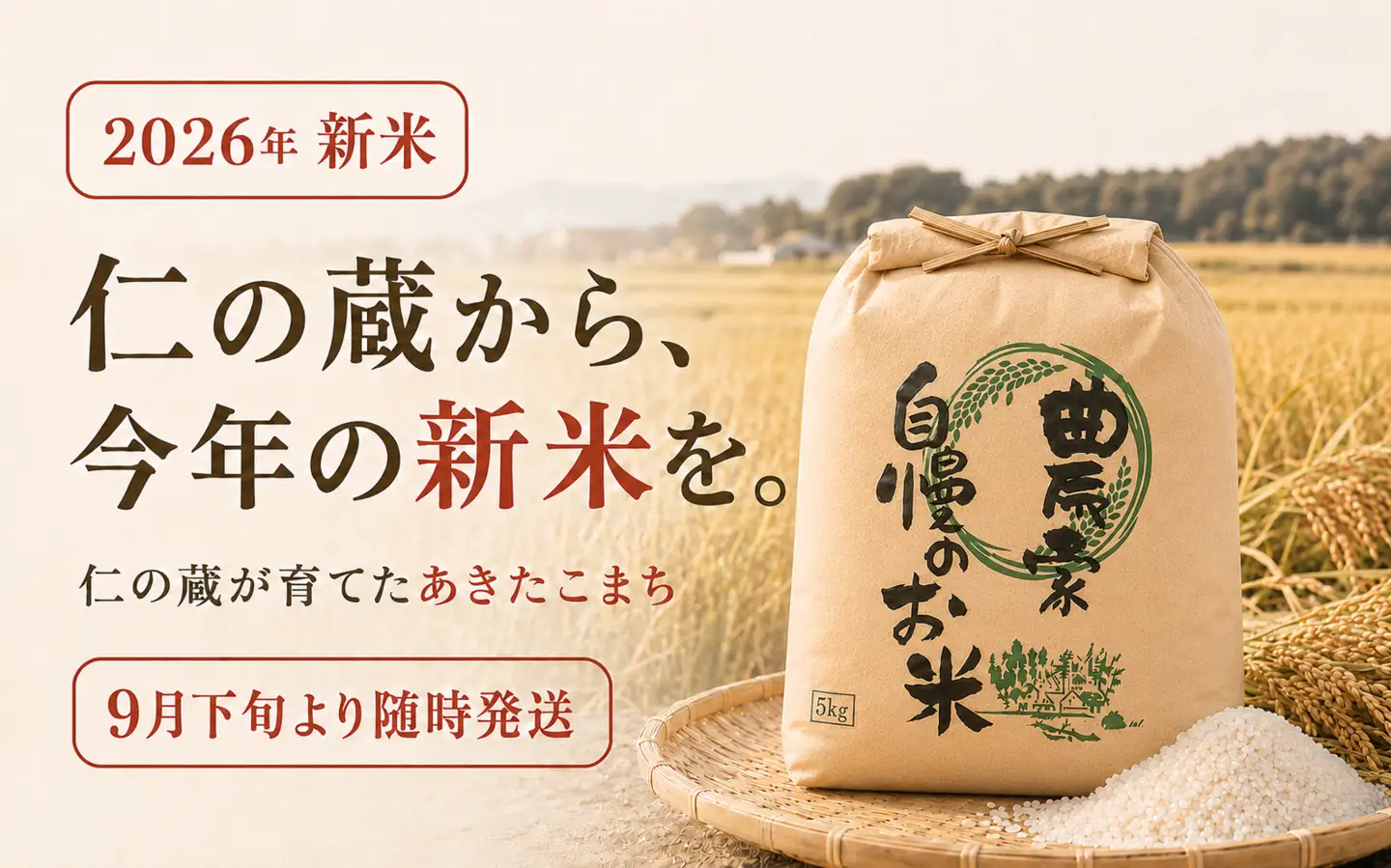 限定100件【新米・先行予約】あきたこまち5kg 信濃町産 令和8年 精米 2026年9月下旬発送予定 黒姫山麓 霧下 米 長野県信濃町