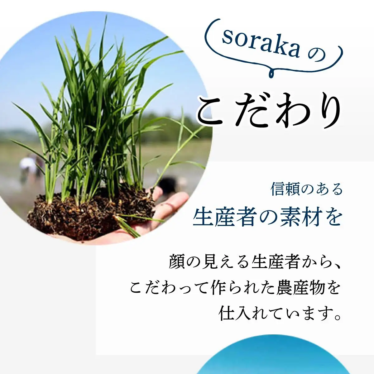 『きなこくるみ』素朴でおいしい、岩見沢のきな粉使用。3袋セット【24027】